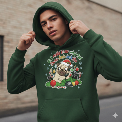 Person wearing a green hoodie with a Christmas-themed pug design.